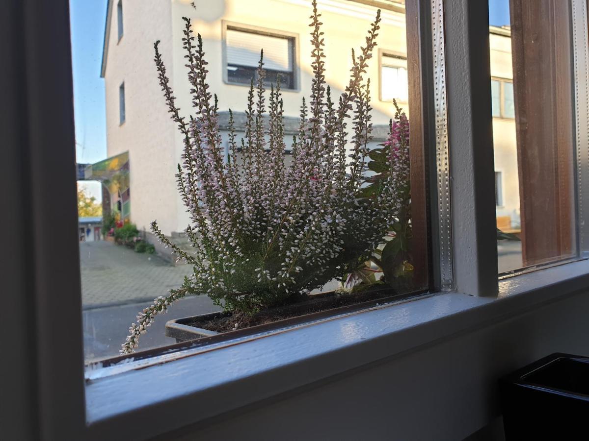 Duex-Hof Apartment Fachwerkhaus บอร์นไฮม์ ภายนอก รูปภาพ